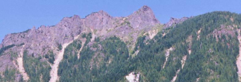 Si 1